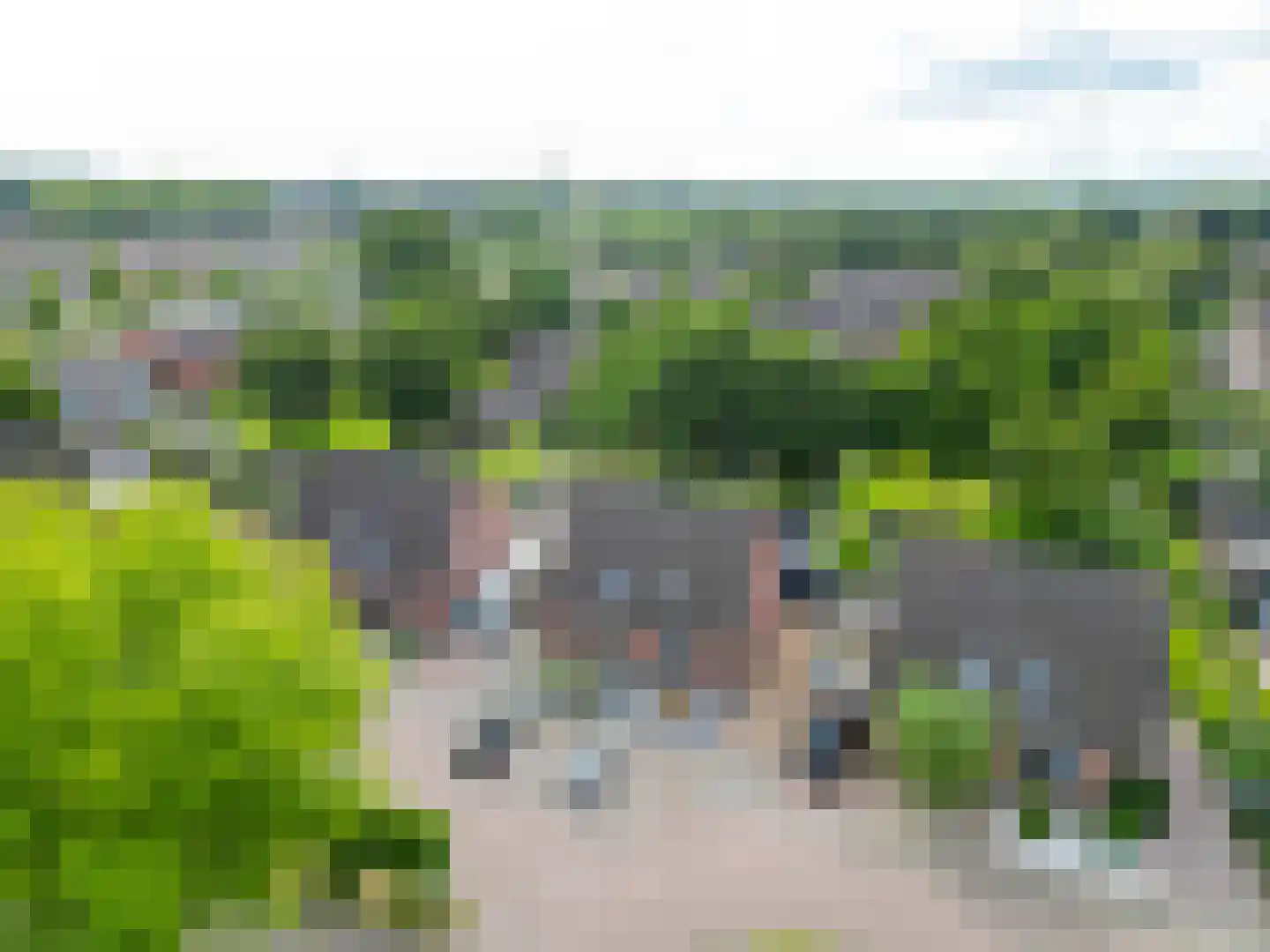 Kalmoes 6 Nieuw-Buinen thumbnail 39