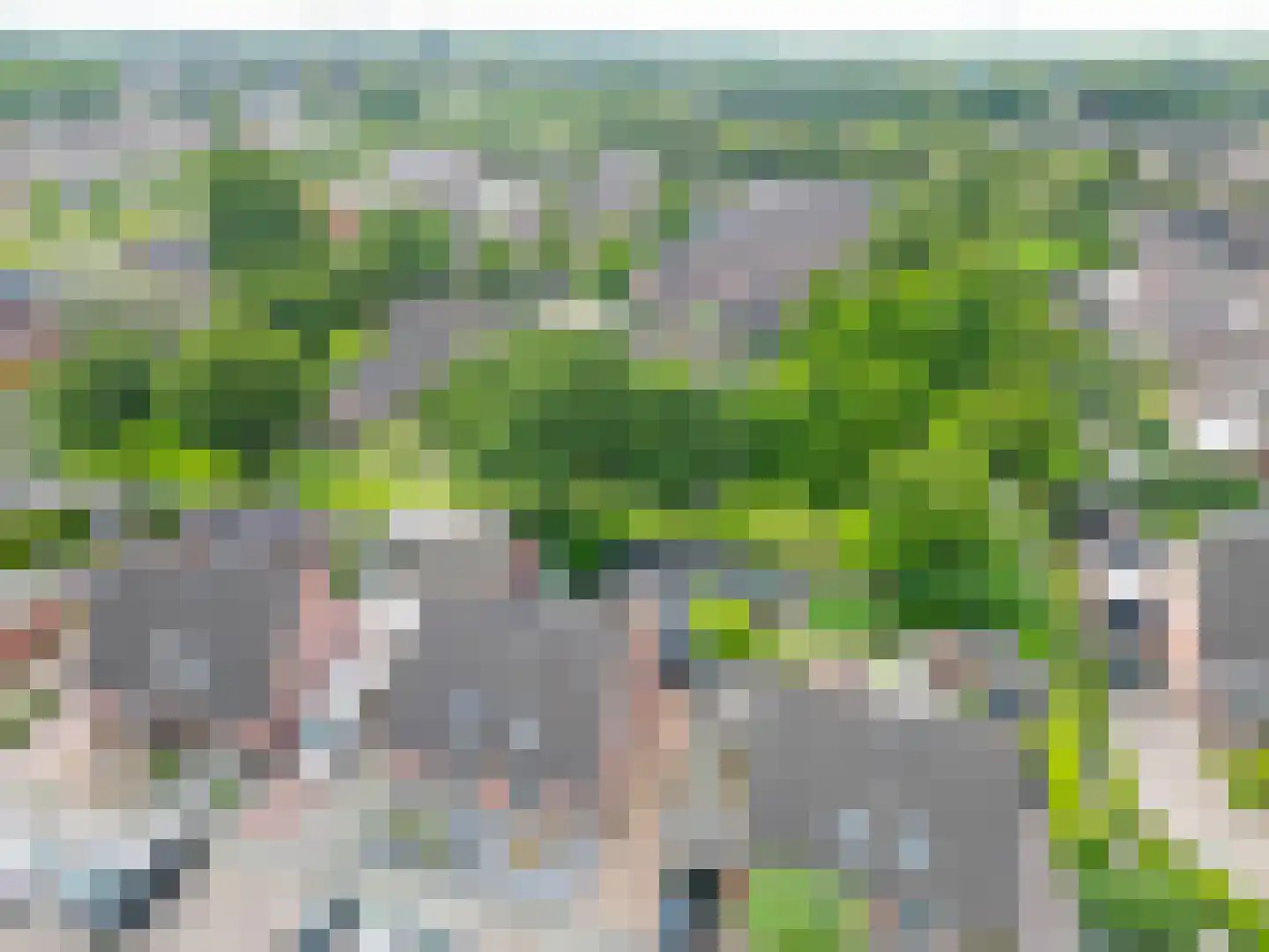Kalmoes 6 Nieuw-Buinen thumbnail 40