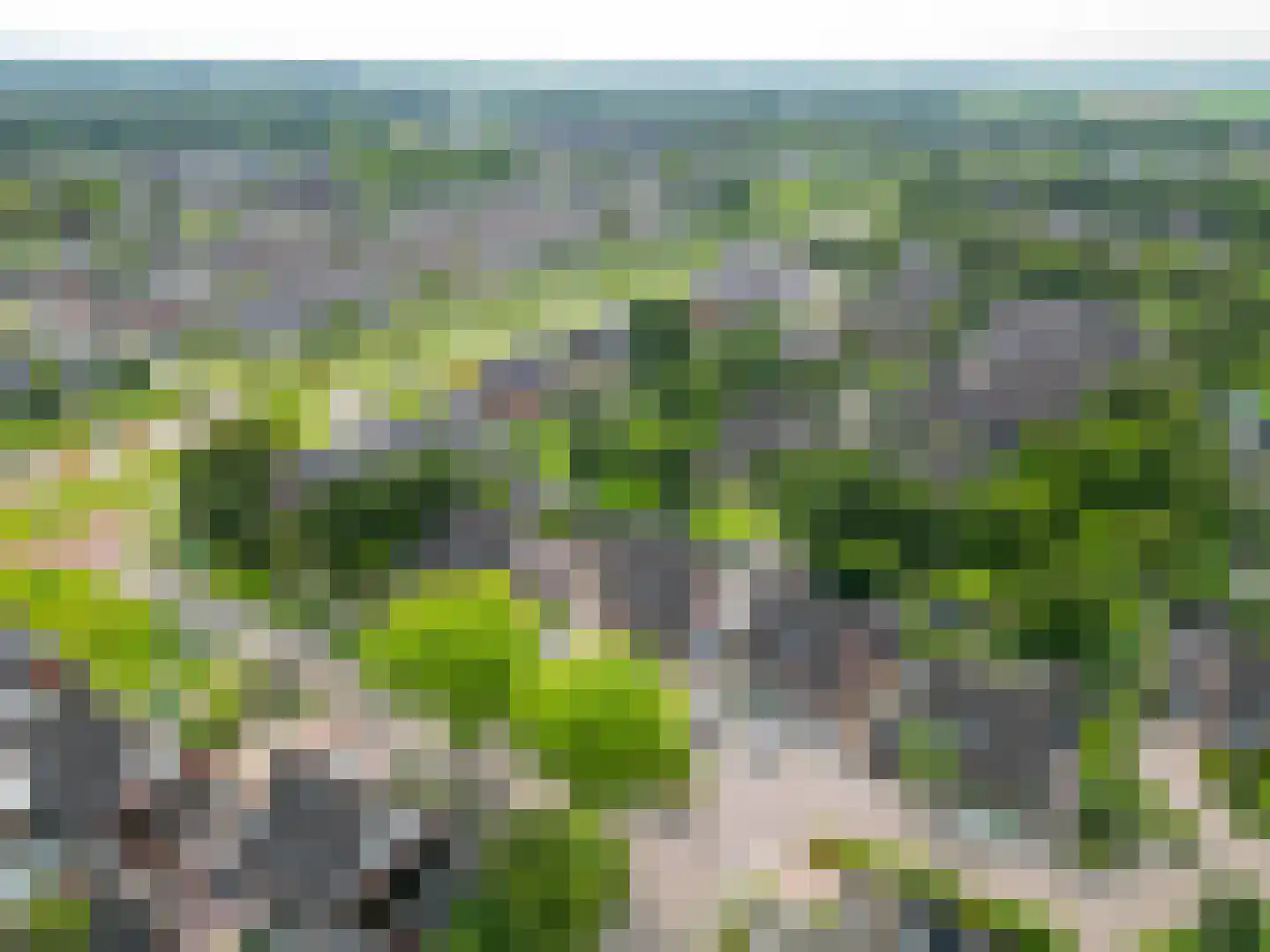 Kalmoes 6 Nieuw-Buinen thumbnail 41