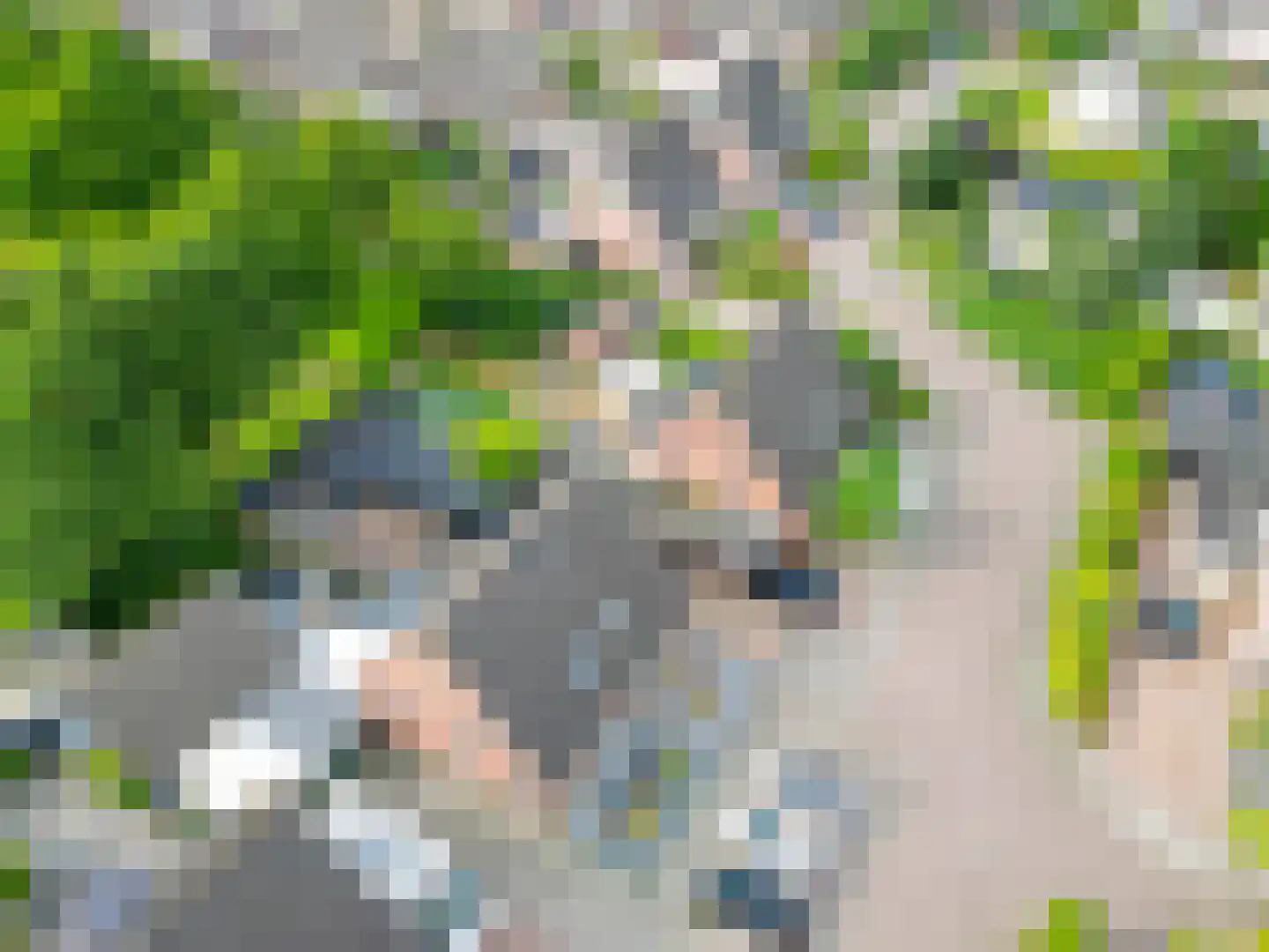 Kalmoes 6 Nieuw-Buinen thumbnail 42