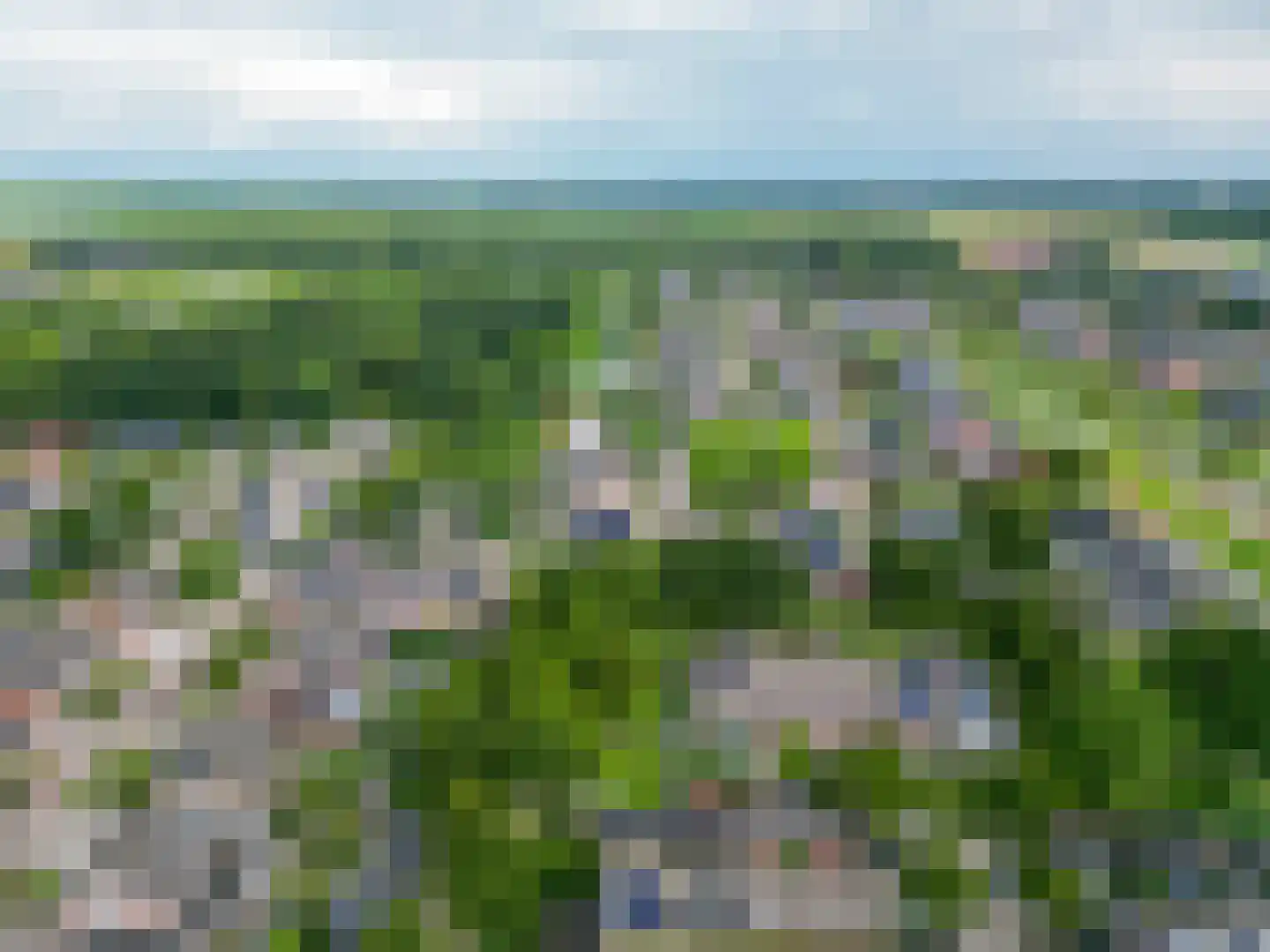 Kalmoes 6 Nieuw-Buinen thumbnail 44
