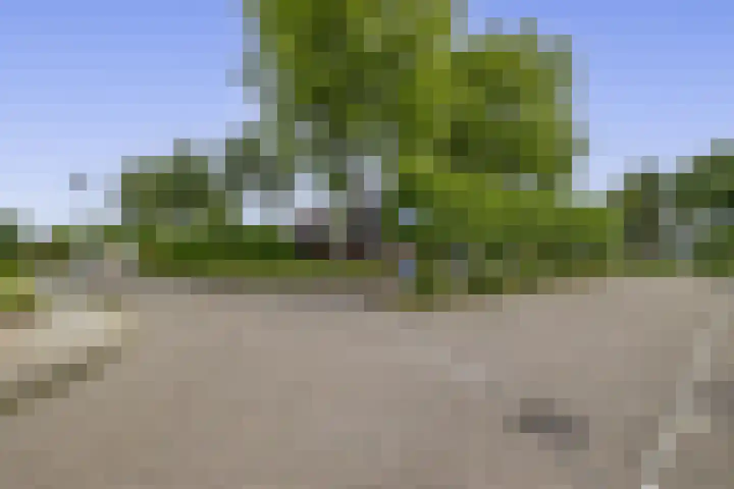 Kalmoes 6 Nieuw-Buinen thumbnail 45
