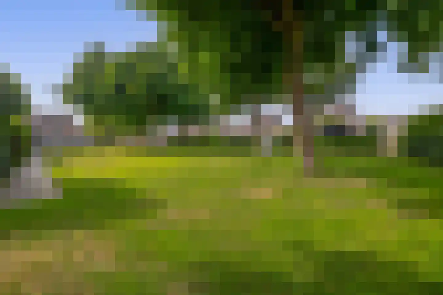 Kalmoes 6 Nieuw-Buinen thumbnail 46