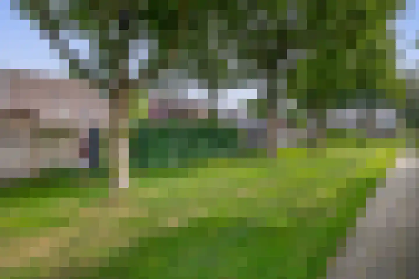 Kalmoes 6 Nieuw-Buinen thumbnail 47