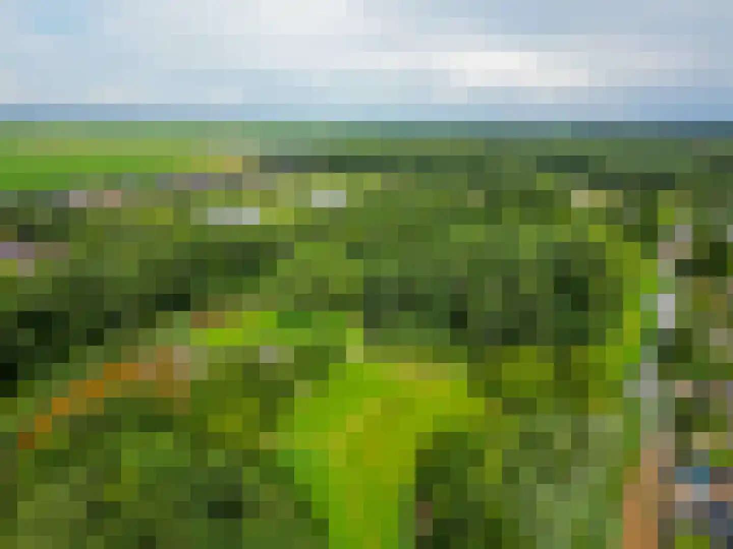 Kalmoes 6 Nieuw-Buinen thumbnail 48