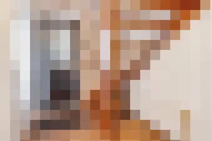 Kalmoes 6 Nijverdal thumbnail 10