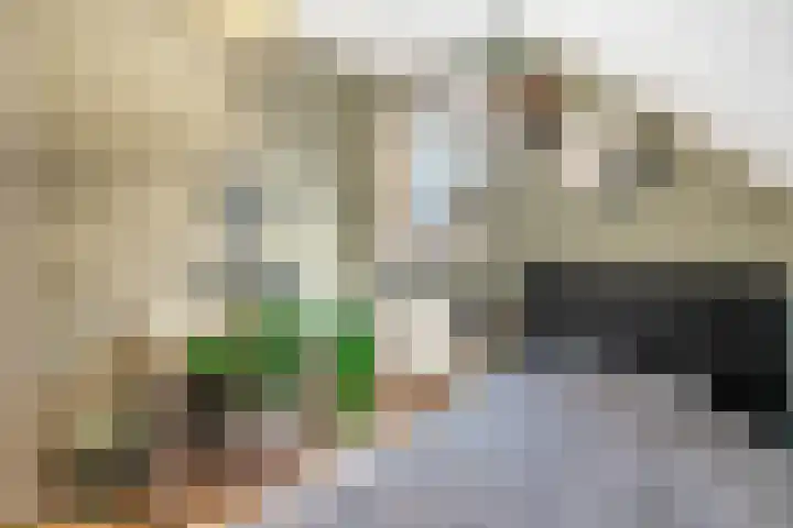 Kalmoes 6 Nijverdal thumbnail 14