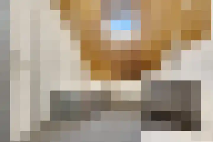 Kalmoes 6 Nijverdal thumbnail 16