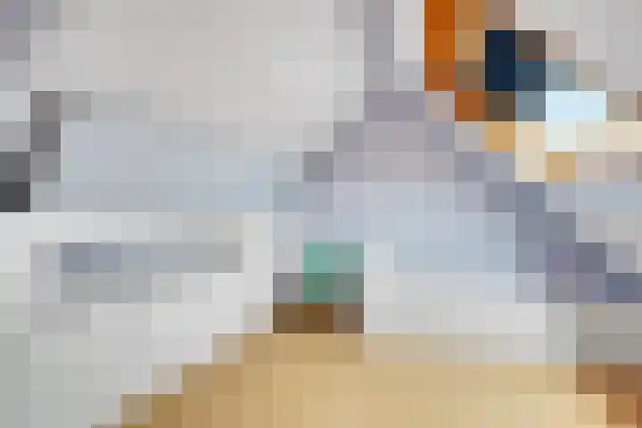 Kalmoes 6 Nijverdal thumbnail 20