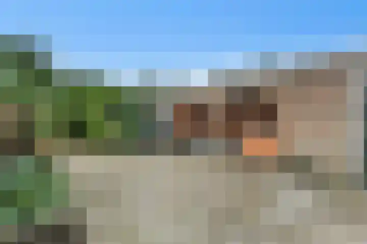 Kalmoes 6 Nijverdal thumbnail 22