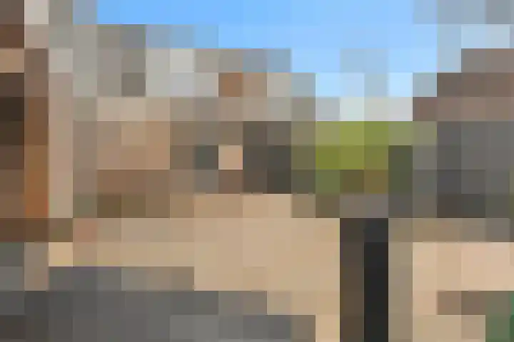 Kalmoes 6 Nijverdal thumbnail 23