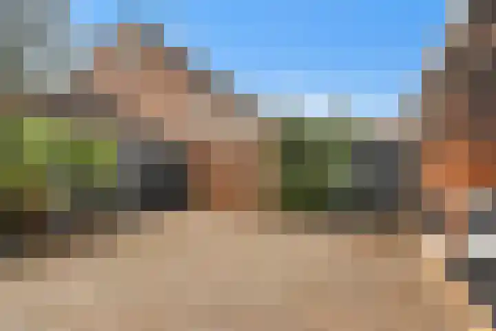 Kalmoes 6 Nijverdal thumbnail 24