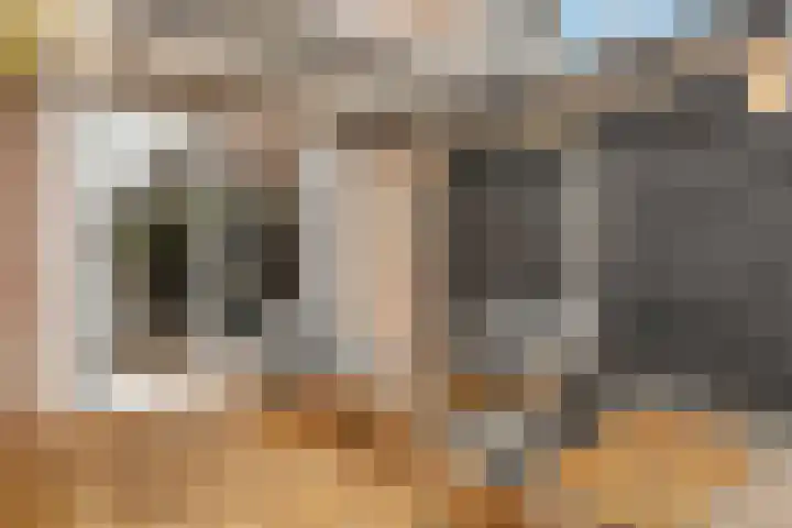 Kalmoes 6 Nijverdal thumbnail 25