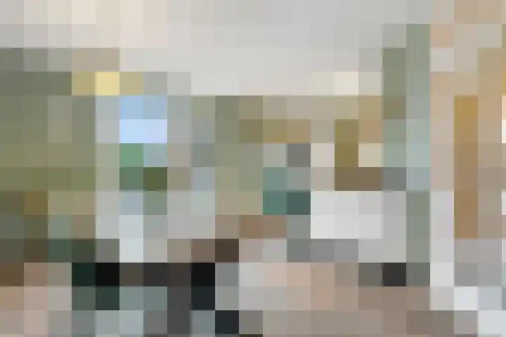 Kalmoes 6 Nijverdal thumbnail 6
