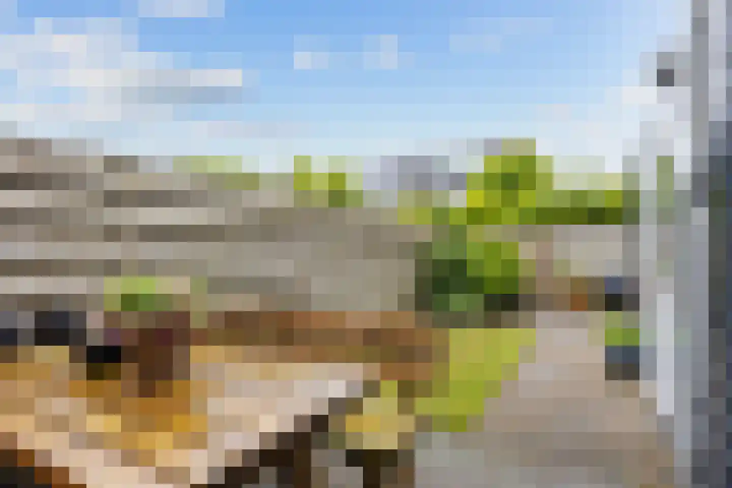 Kalmoes 6 Zuidhorn thumbnail 30