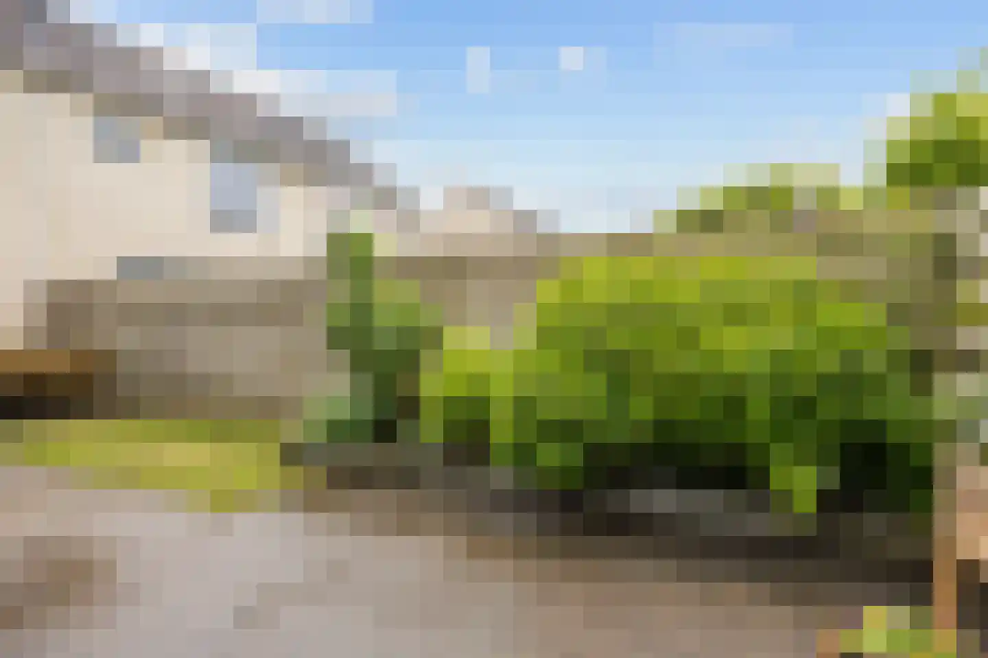 Kalmoes 6 Zuidhorn thumbnail 33
