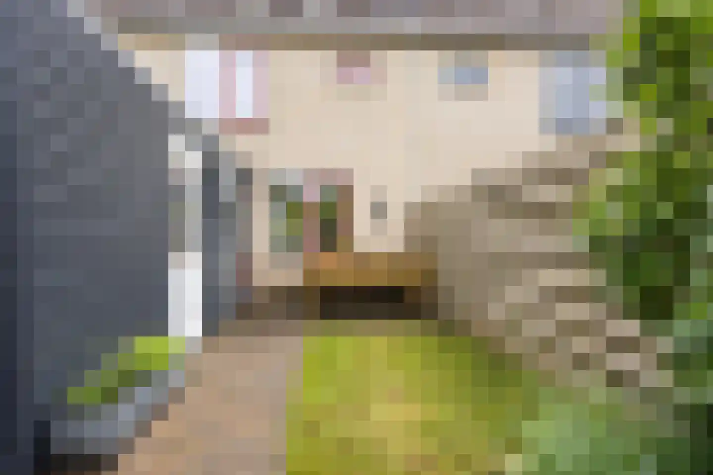 Kalmoes 6 Zuidhorn thumbnail 35