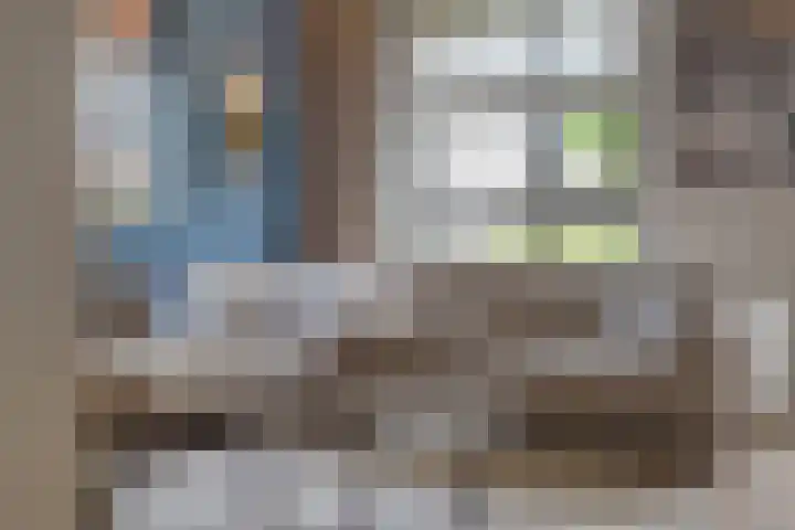 Kalmoes 7 Teteringen thumbnail 11