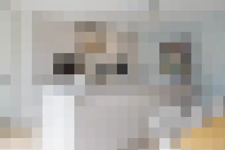 Kalmoes 7 Teteringen thumbnail 15