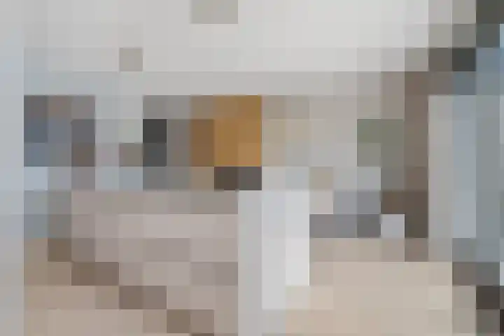 Kalmoes 7 Teteringen thumbnail 16