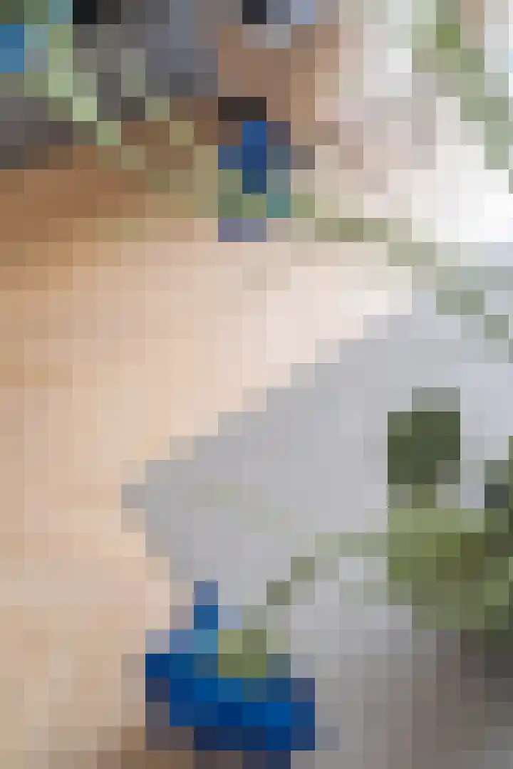 Kalmoes 7 Teteringen thumbnail 18