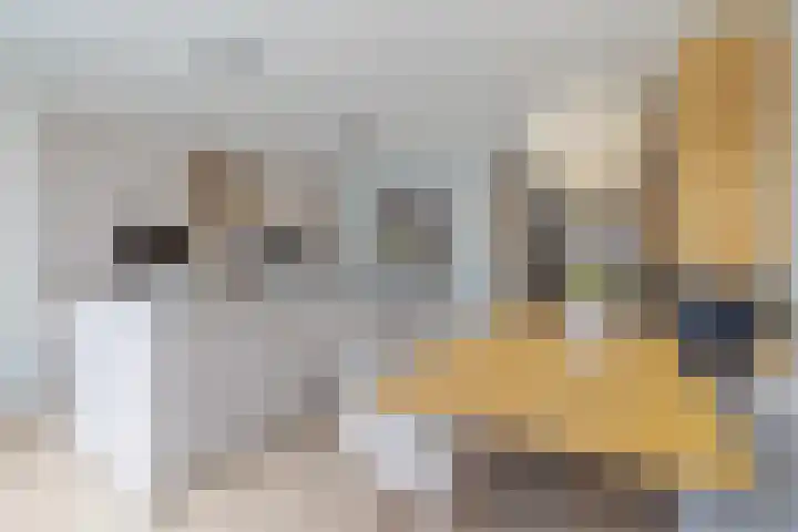 Kalmoes 7 Teteringen thumbnail 22