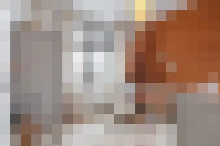 Kalmoes 7 Teteringen thumbnail 31
