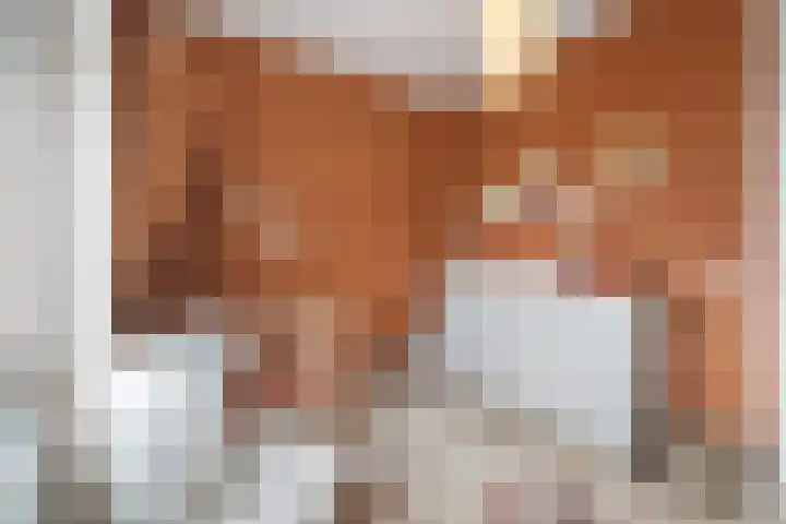 Kalmoes 7 Teteringen thumbnail 32
