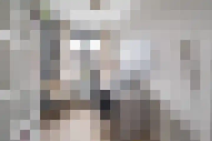 Kalmoes 7 Teteringen thumbnail 33