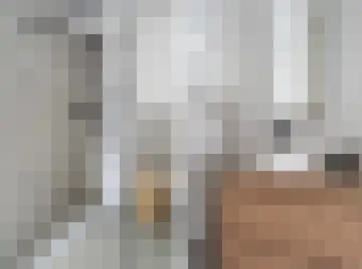 Kalmoes 7 Teteringen thumbnail 35