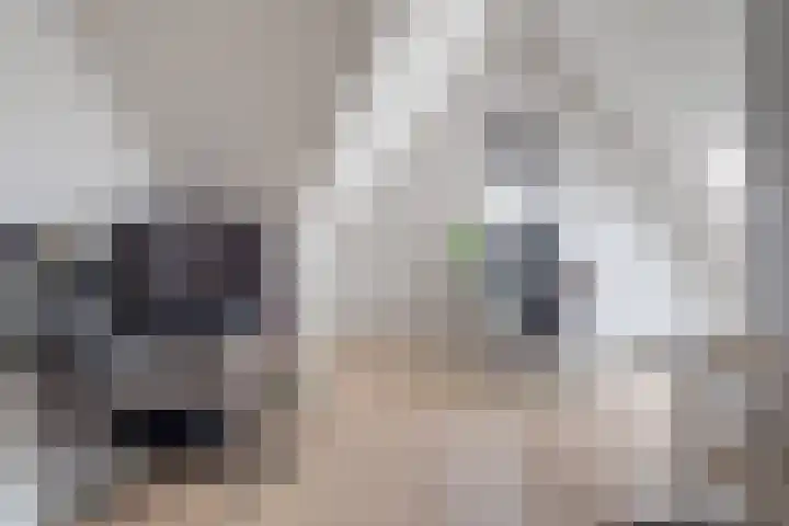 Kalmoes 7 Teteringen thumbnail 41