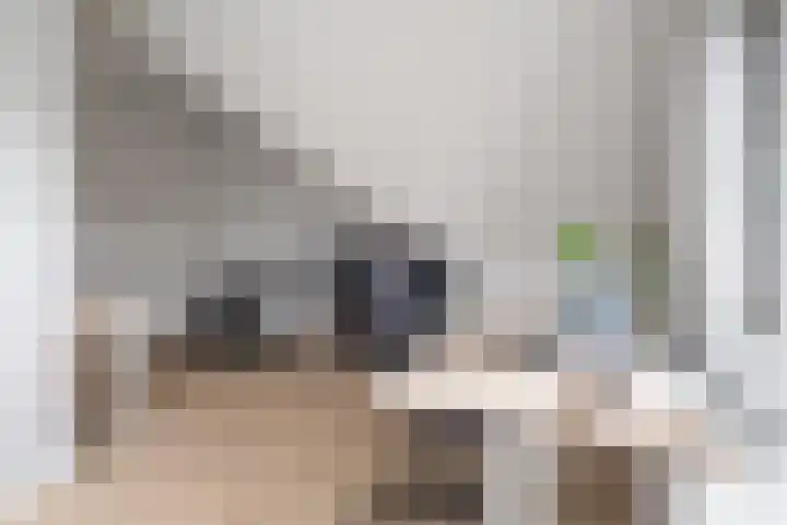 Kalmoes 7 Teteringen thumbnail 42