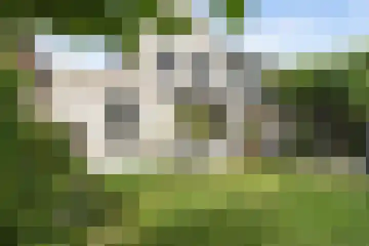 Kalmoes 7 Teteringen thumbnail 46