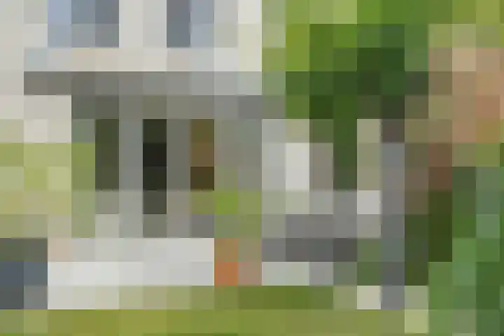 Kalmoes 7 Teteringen thumbnail 47