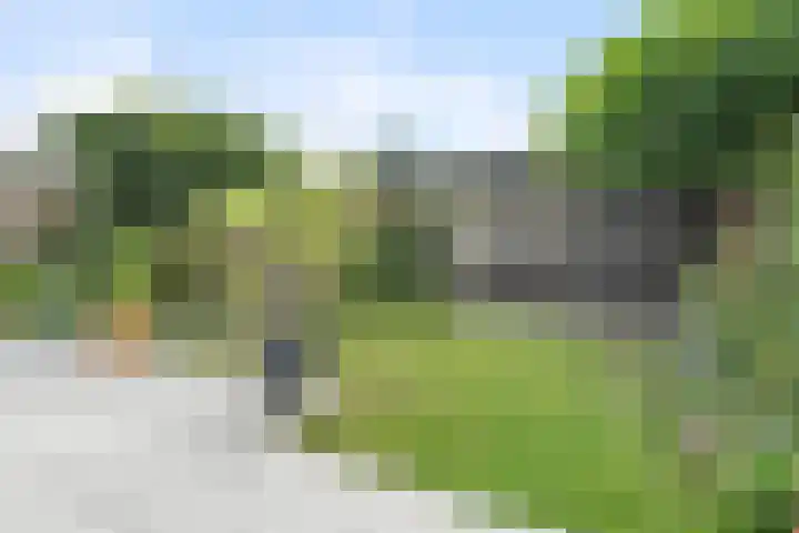 Kalmoes 7 Teteringen thumbnail 49