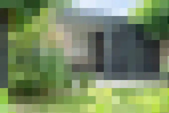 Kalmoes 7 Teteringen thumbnail 51