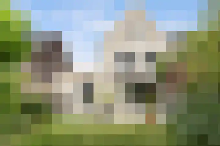 Kalmoes 7 Teteringen thumbnail 52