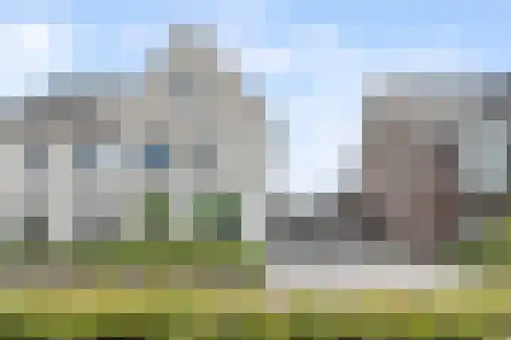 Kalmoes 7 Teteringen thumbnail 53
