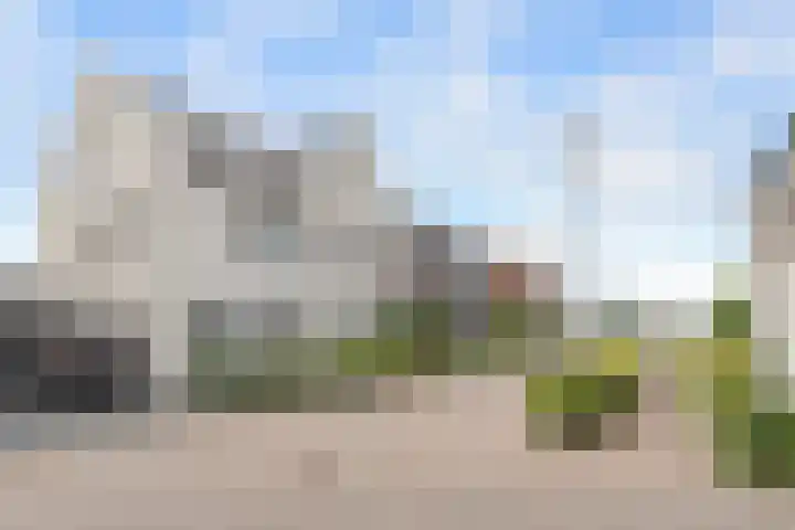 Kalmoes 7 Teteringen thumbnail 54