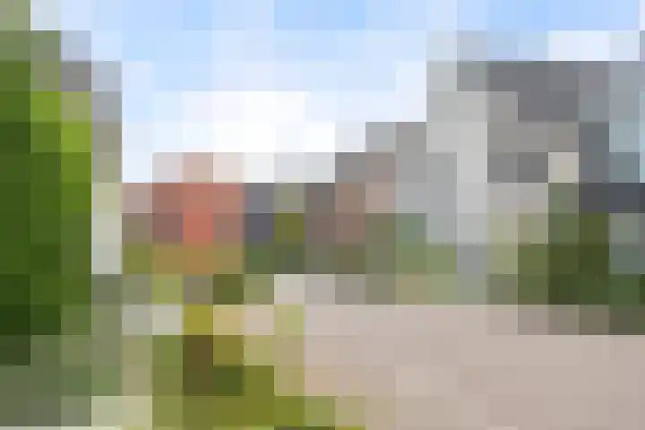 Kalmoes 7 Teteringen thumbnail 55