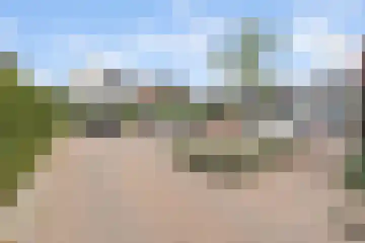 Kalmoes 7 Teteringen thumbnail 56