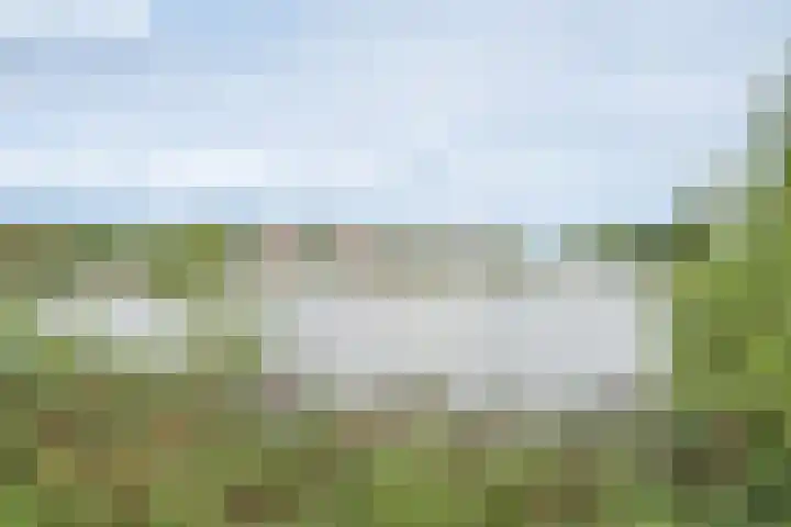 Kalmoes 7 Teteringen thumbnail 57