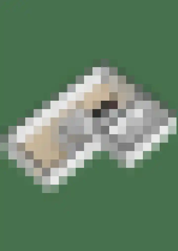 Kalmoes 7 Teteringen thumbnail 60