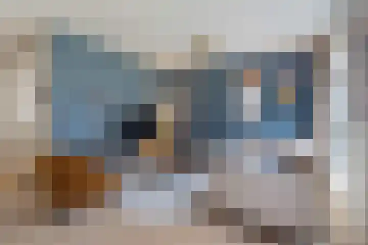 Kalmoes 7 Teteringen thumbnail 9