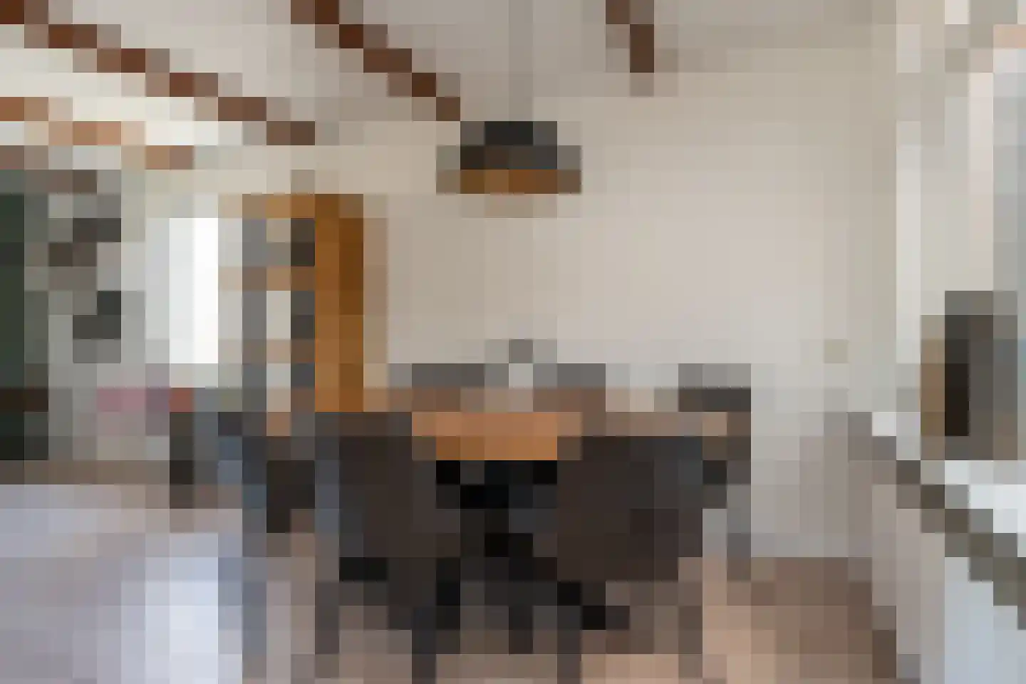 Kalmoes 8 Nieuw-Buinen thumbnail 11