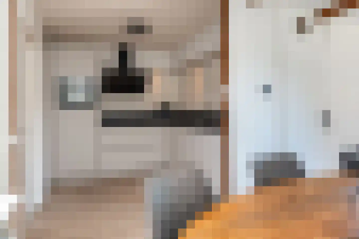 Kalmoes 8 Nieuw-Buinen thumbnail 14