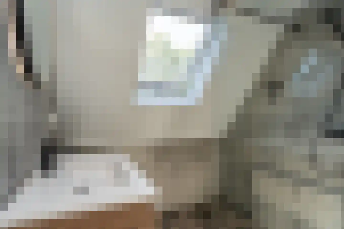 Kalmoes 8 Nieuw-Buinen thumbnail 26