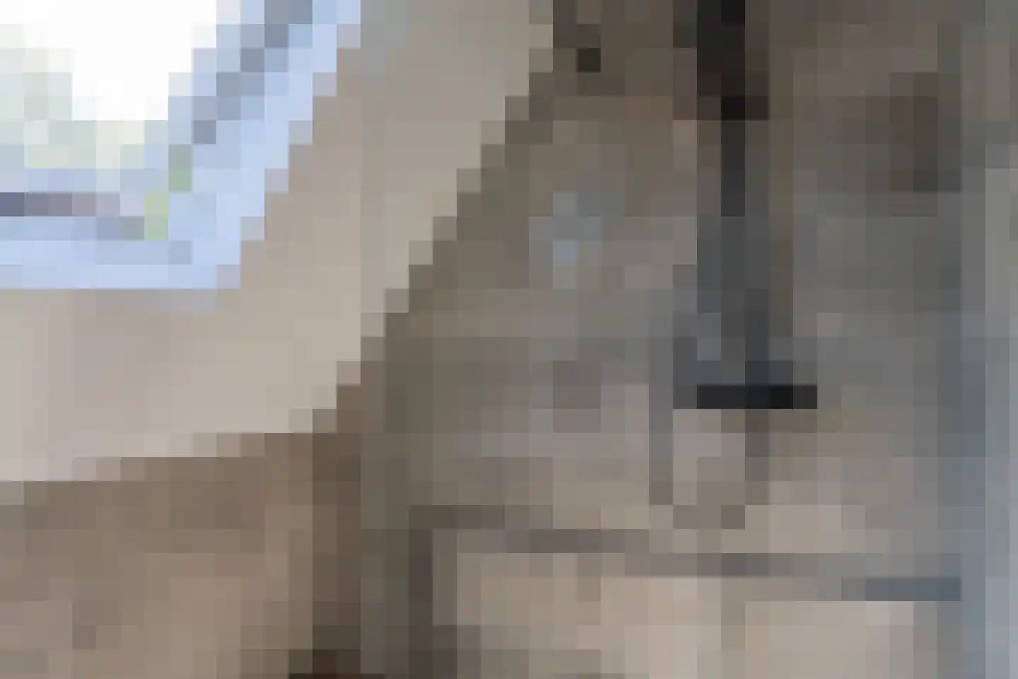 Kalmoes 8 Nieuw-Buinen thumbnail 27