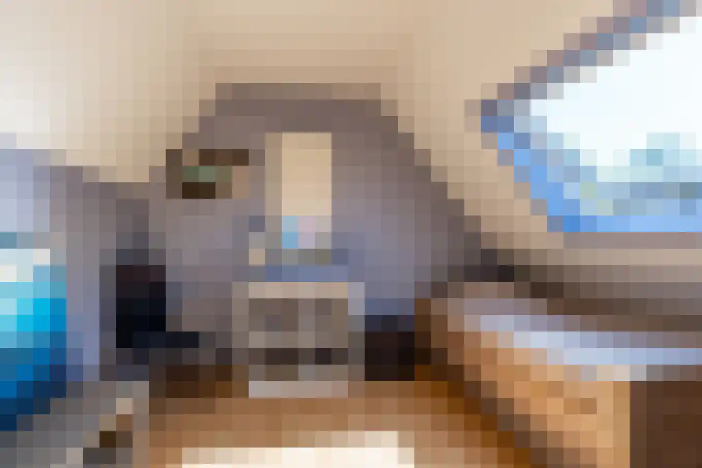 Kalmoes 8 Nieuw-Buinen thumbnail 28