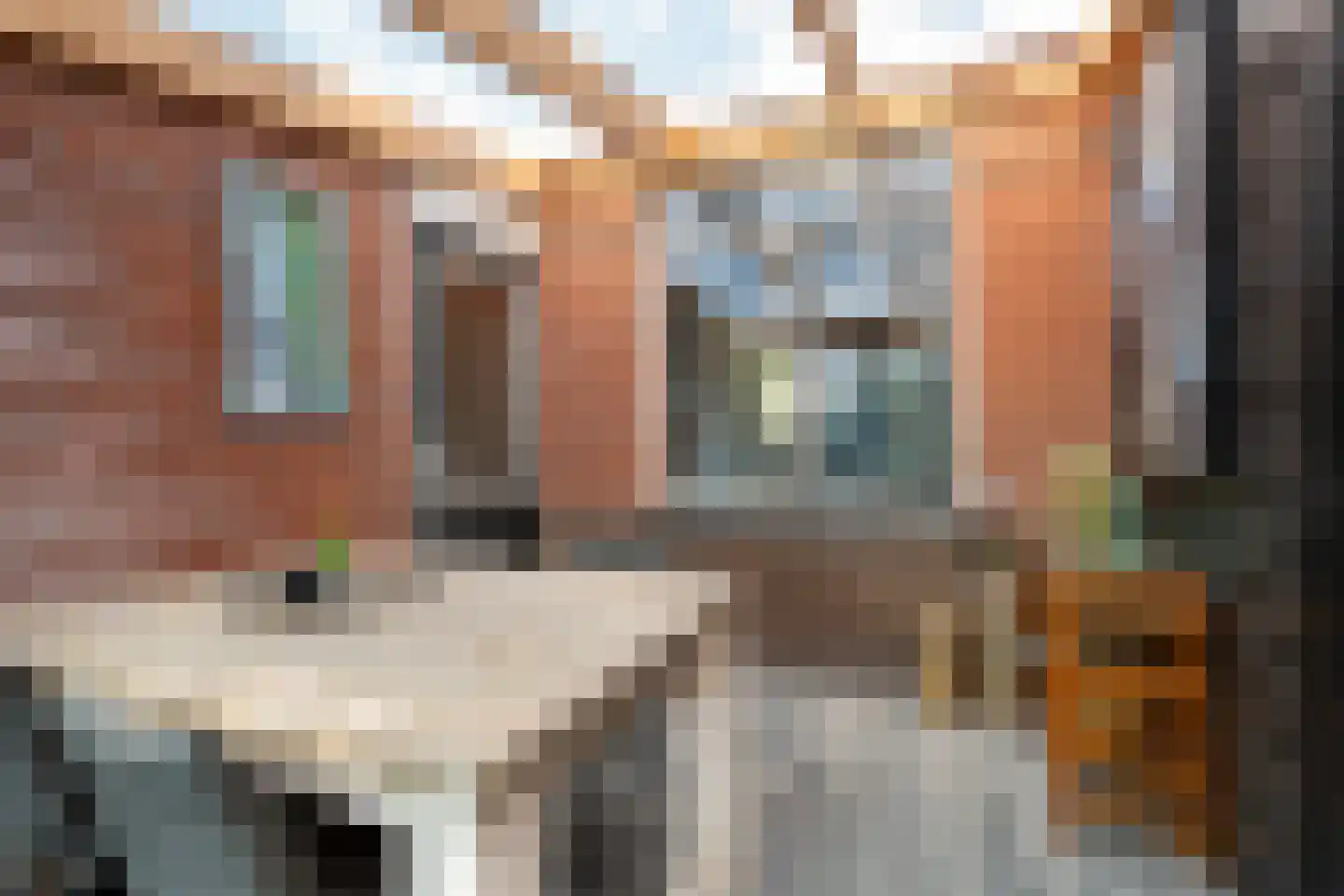 Kalmoes 8 Nieuw-Buinen thumbnail 30